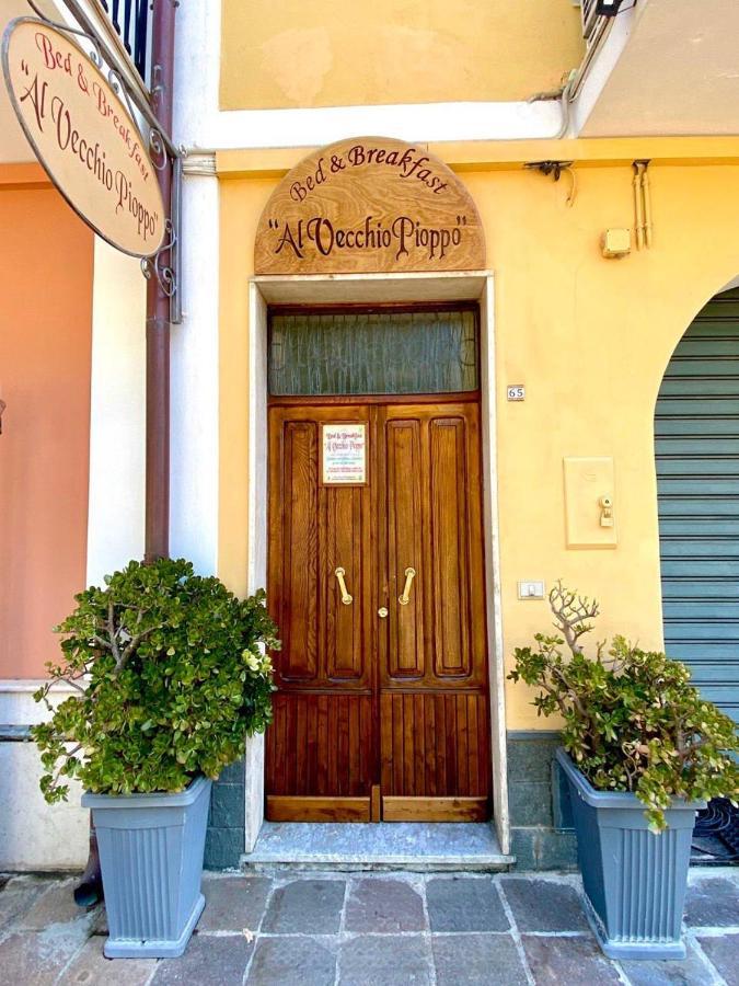 Bed and Breakfast Al Vecchio Pioppo Praia a Mare Exteriér fotografie