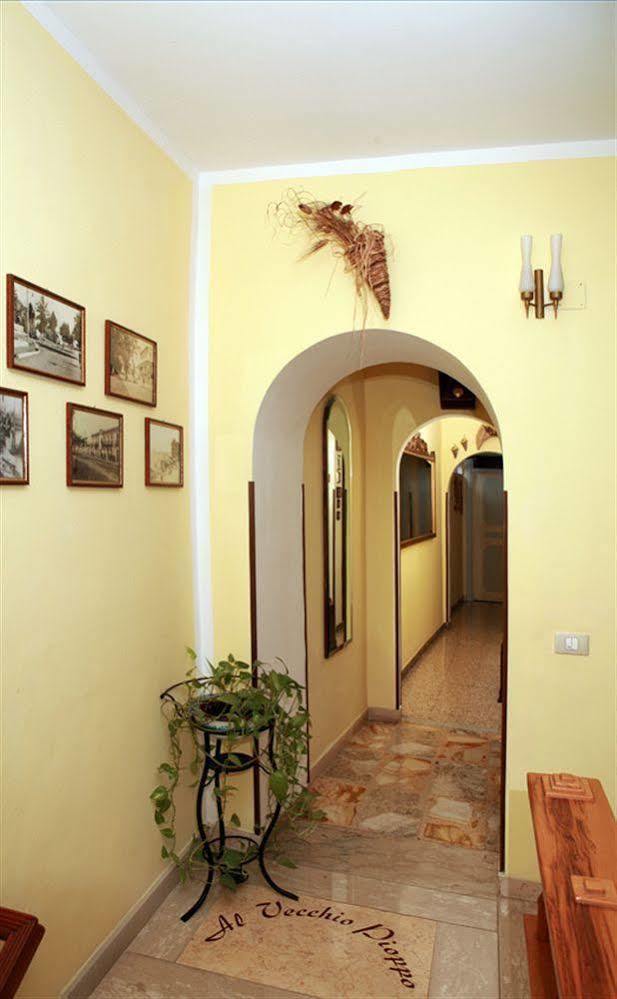 Bed and Breakfast Al Vecchio Pioppo Praia a Mare Exteriér fotografie